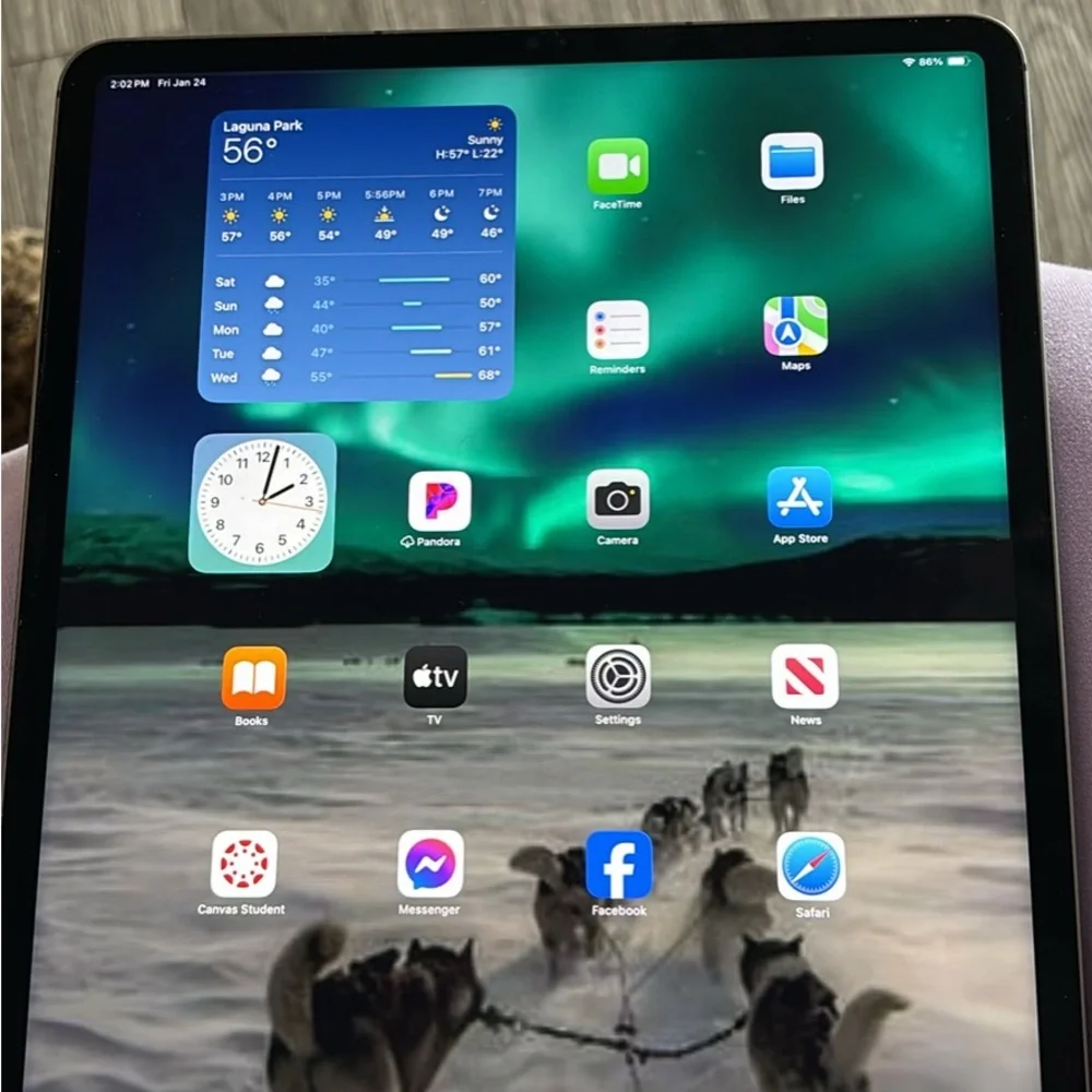 Apple iPad